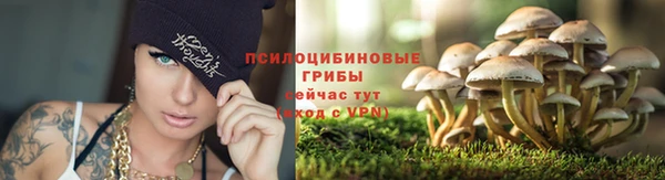 синтетический гашиш Алексин