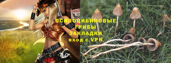 синтетический гашиш Алексин