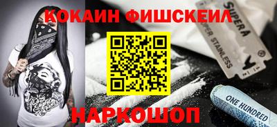 индика Камышлов