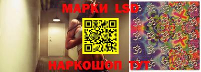 индика Камышлов