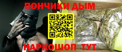 индика Камышлов