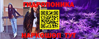 индика Камышлов