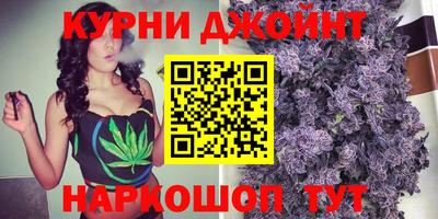 индика Камышлов