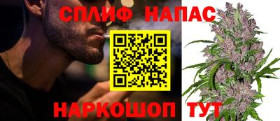 индика Камышлов