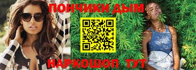индика Камышлов