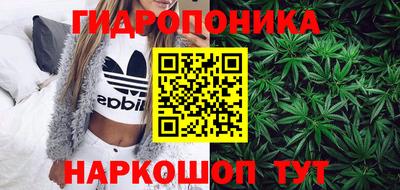 индика Камышлов