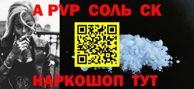 индика Камышлов