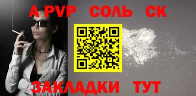 индика Камышлов