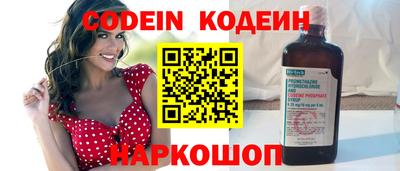 индика Камышлов