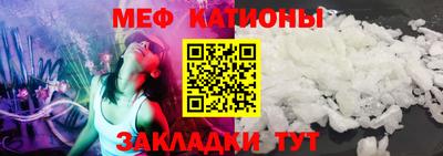 индика Камышлов