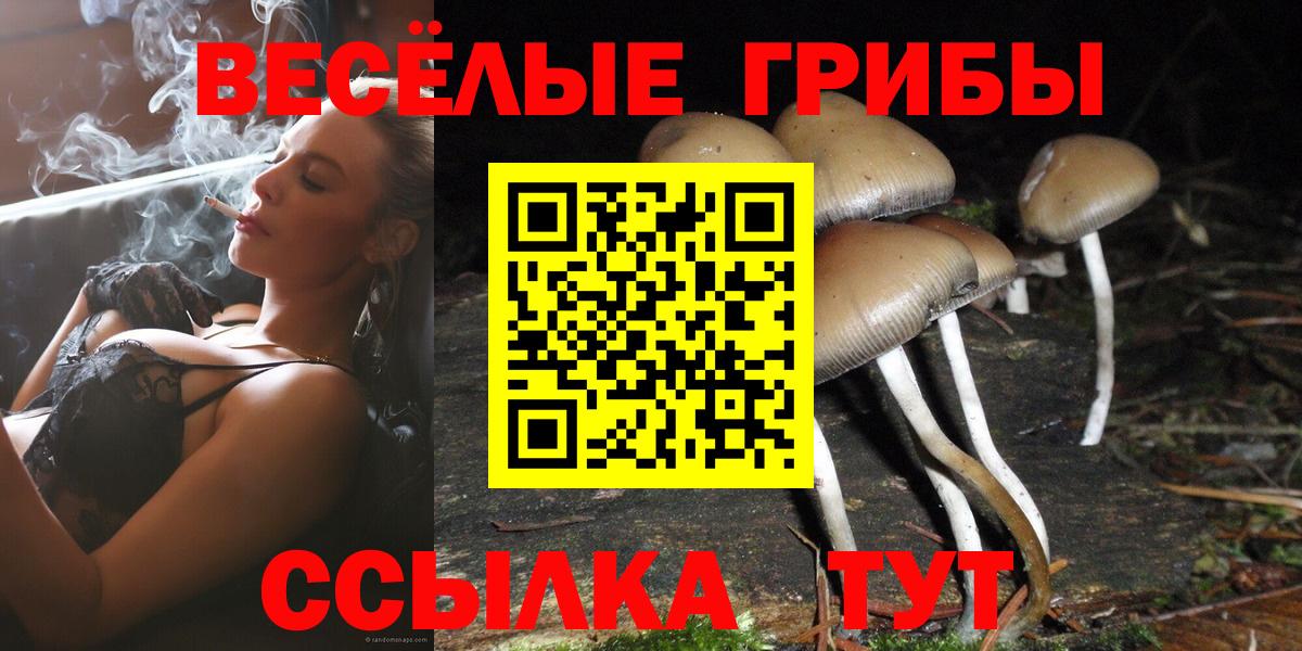 Галлюциногенные грибы GOLDEN TEACHER Лениногорск