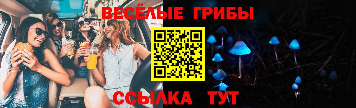 Лениногорск  Галлюциногенные грибы ЛСД  Вход с VPN  как найти закладки  Псилоцибиновые грибы Psilocybe 
